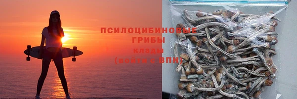 мдпв Володарск
