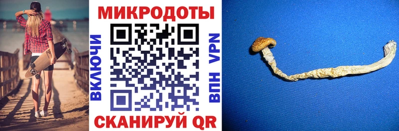 хочу наркоту  кракен как зайти  Псилоцибиновые грибы GOLDEN TEACHER  Камень-на-Оби 